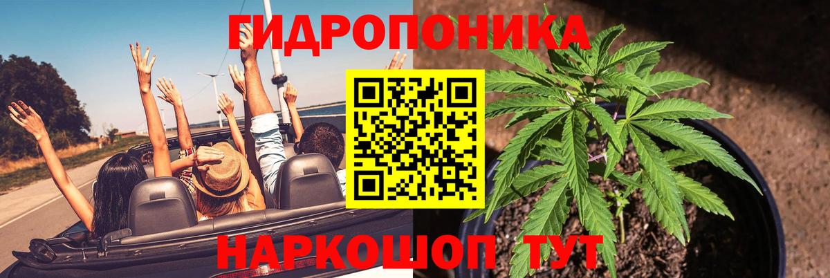 Бошки марихуана White Widow  МАРИХУАНА план  Вход с VPN  Курганинск  Конопля сатива 